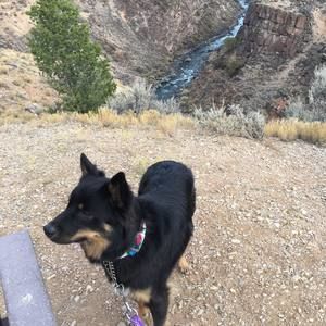 Meet your Posher, Lynn